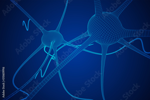 Neuron system wireframe mesh model. Low poly vector illustration. Science and medical healthcare concept