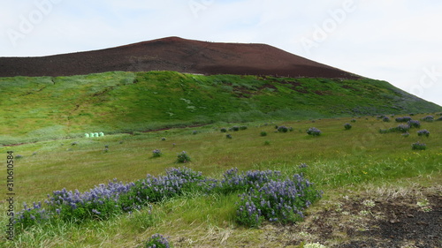 Heimaey Island next to Iceland photo