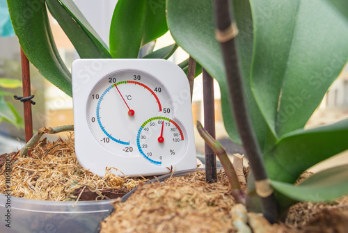 Thermometer and hygrometer to monitor optimal conditions for growing houseplants on windowsill in winter time. Selective focus, close-up. photo