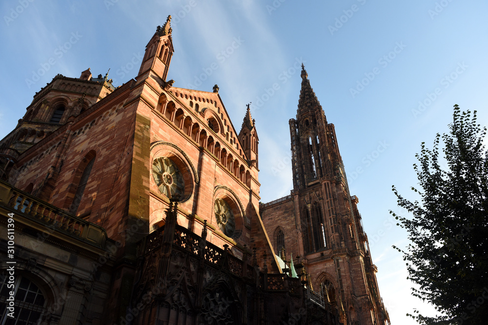 Fototapeta premium Strasbourg Cathedral or the Cathedral of Our Lady of Strasbourg in Strasbourg, France.