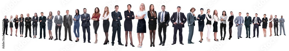 panoramic photo of a group of confident business people. panoramic photo of a group of confident business people.