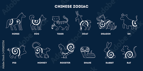 Traditional Chinese zodiac animals set. Isolated vector illustration