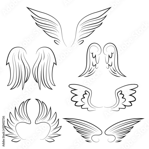 Wings set on white background vector illustration hand draw desing