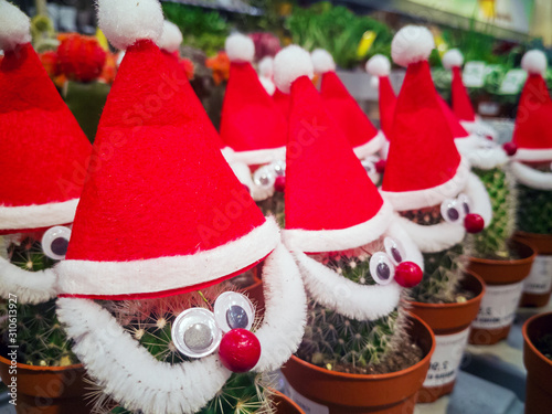 Wallpaper Mural Cactus with hat Torontodigital.ca