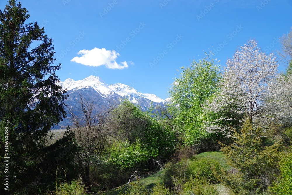 Berglandschaft