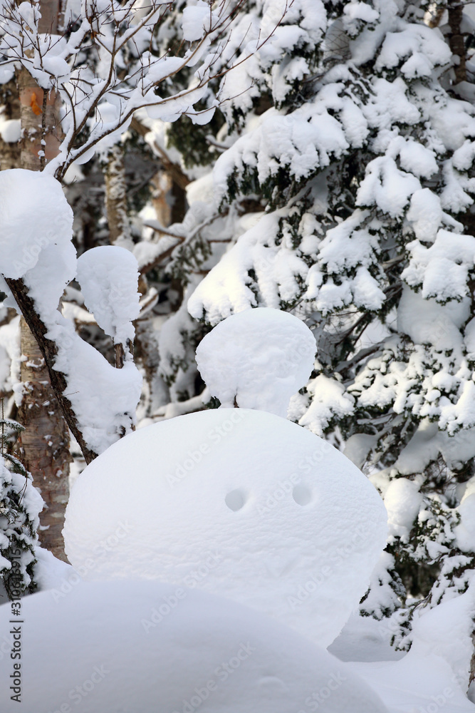 森と雪 森と雪