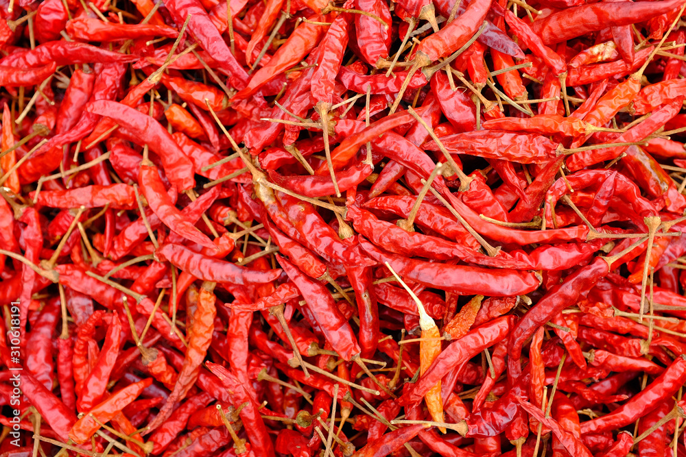 Fototapeta premium Dried red hot chilli peppers background.