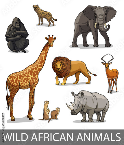 Set of wild african animals in cartoon style. Educational zoology illustration, coloring book picture.
