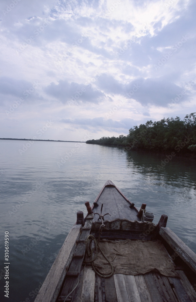 Sunderbans, largest mangrove delta in world. West Bengal