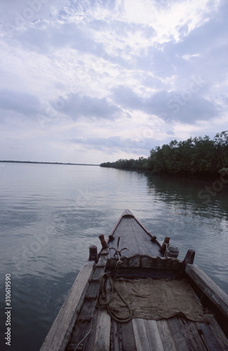Sunderbans, largest mangrove delta in world. West Bengal
