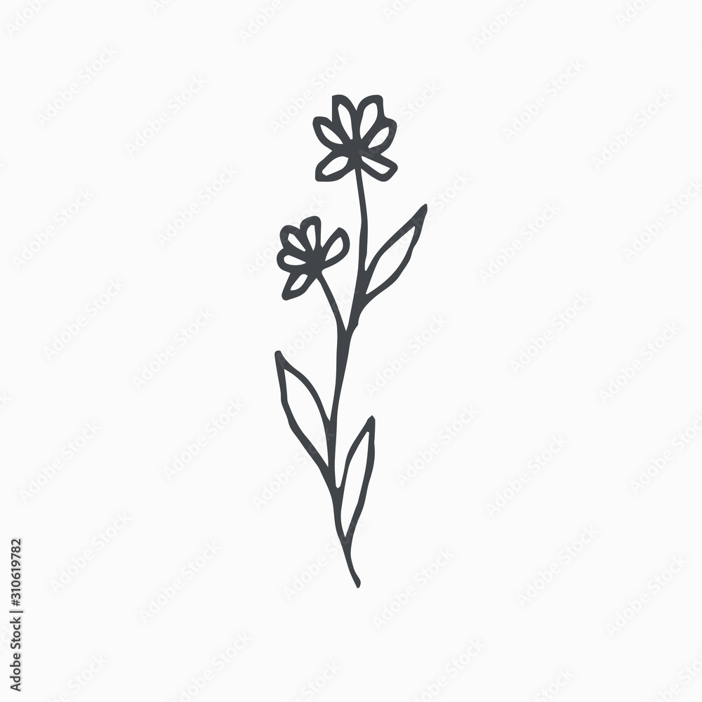 Tiny Leaves Plants Hand drawn vector illustration for logo, invitations, graphic design Tiny Leaves Plants Hand drawn vector illustration for logo, invitations, graphic design