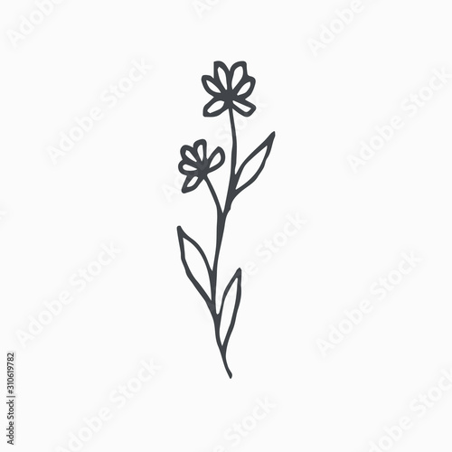 Tiny Leaves Plants Hand drawn vector illustration for logo  invitations  graphic design