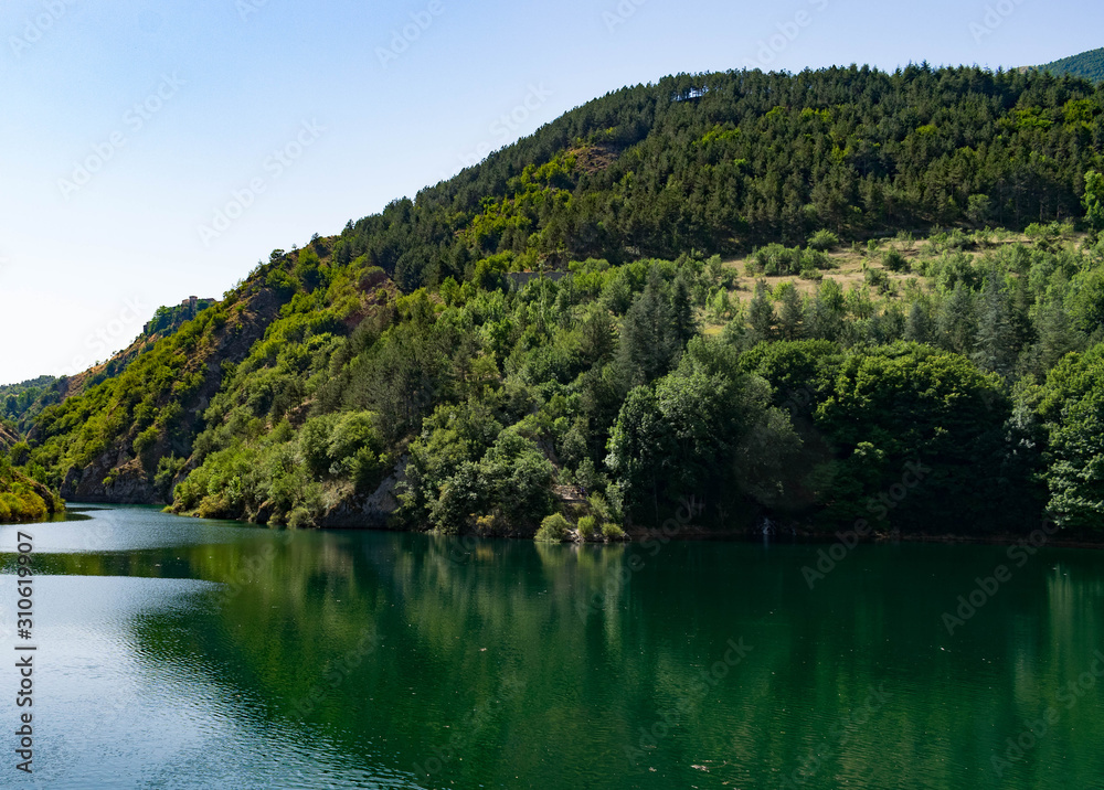 Thick vegetation and woods overlooking the waters of a lake