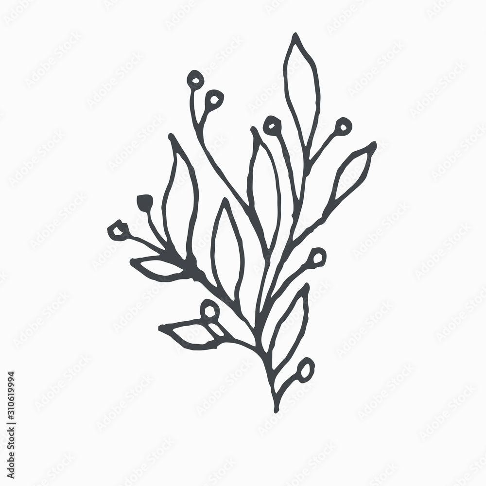 Tiny Leaves Plants Hand drawn vector illustration for logo, invitations, graphic design Tiny Leaves Plants Hand drawn vector illustration for logo, invitations, graphic design