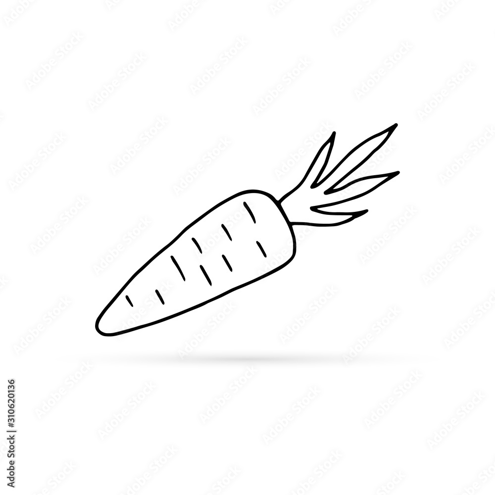 Carrot vector illustration, background. One line drawing art illustration  with lettering organic carrot Stock Vector Image & Art - Alamy