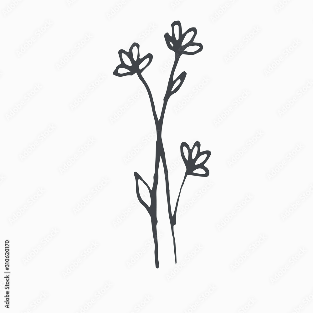 Tiny Leaves Plants Hand drawn vector illustration for logo, invitations, graphic design