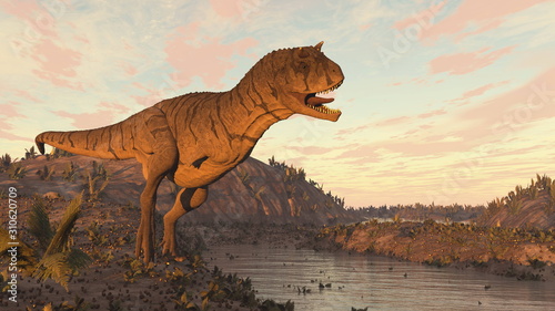 Carnotaurus dinosaur roaring at sunset - 3D render © Elenarts