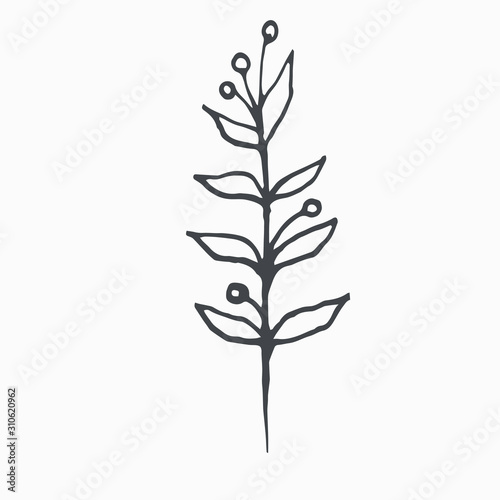 Tiny Leaves Plants Hand drawn vector illustration for logo  invitations  graphic design