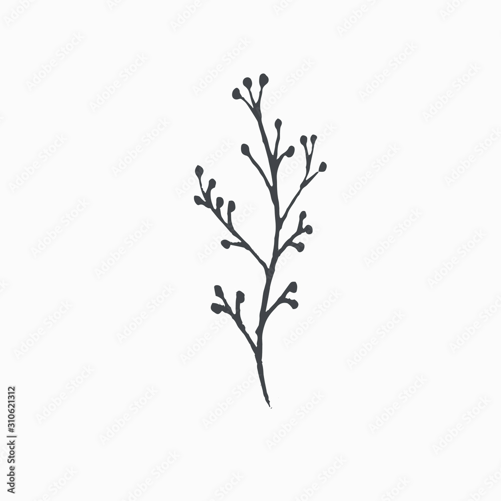 Tiny Leaves Plants Hand drawn vector illustration for logo, invitations, graphic design