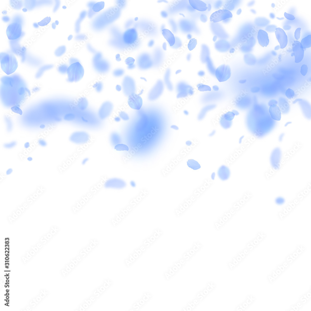 Dark blue flower petals falling down. Captivating Dark blue flower petals falling down. Captivating