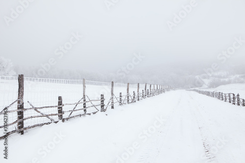 winter scenery with country road covered by snow © russieseo