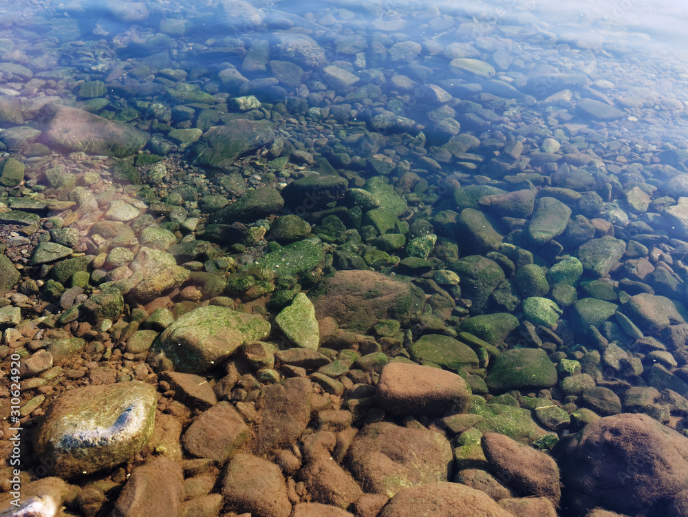 Pebbles covered with moss in crystal clear water.