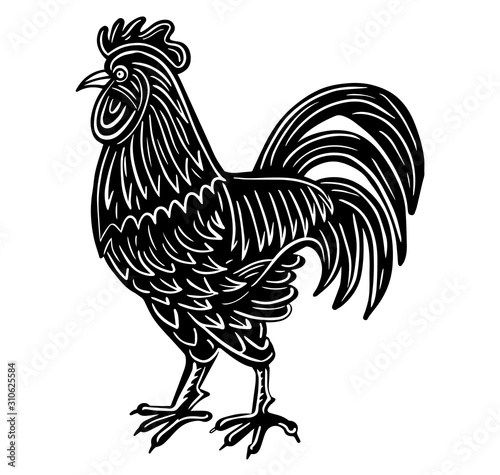 rooster hand drawn engraved sketch drawing vector