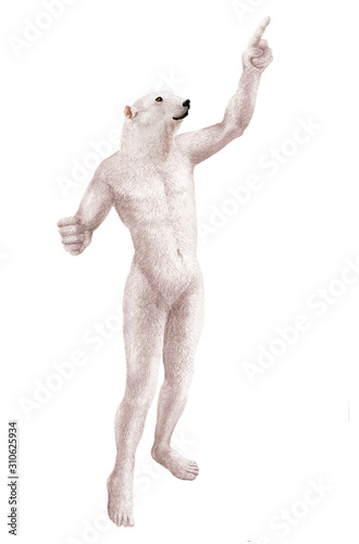humain hybride animal  t  te d animal  mi-humain  mi  ours blanc  blanc  corps  isol    personne  gens  caract  re  anatomie  abstrait  affaires  figure  dessin anim    illustration  mannequin  homme  con
