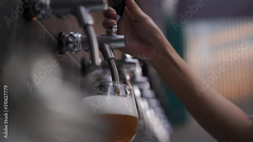 bartender poured cold draft beer from tab into glass, selective focus