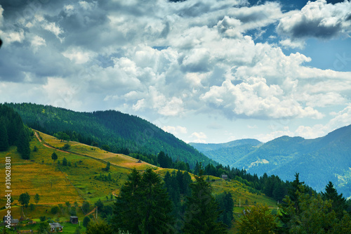 beautiful summer landscape, spruces on hills, cloudy sky and wildflowers - travel destination scenic, carpathian mountains © soleg