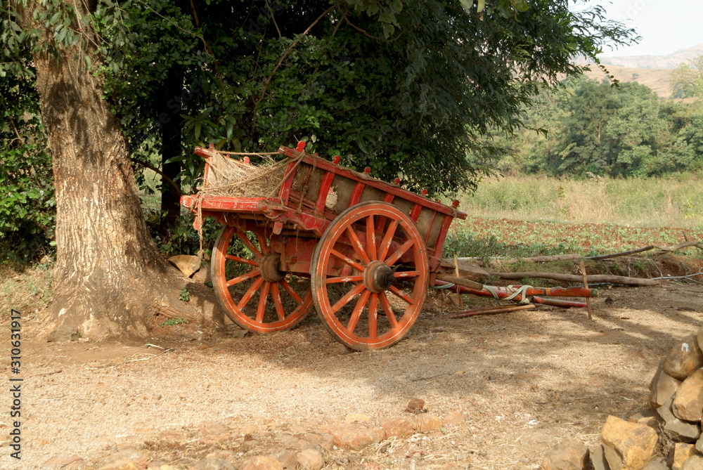 Cart. Rural agrucultrists in India use this for the local transportion. Maharasthra, India