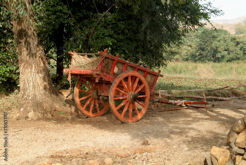 Cart. Rural agrucultrists in India use this for the local transportion. Maharasthra, India