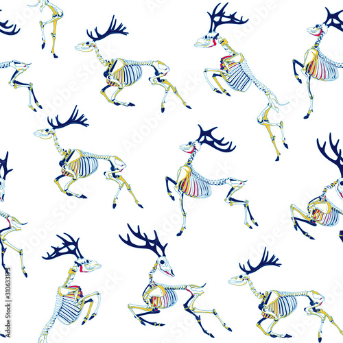 Deer skeleton. Seamless pattern with skull and bones of horned deers.