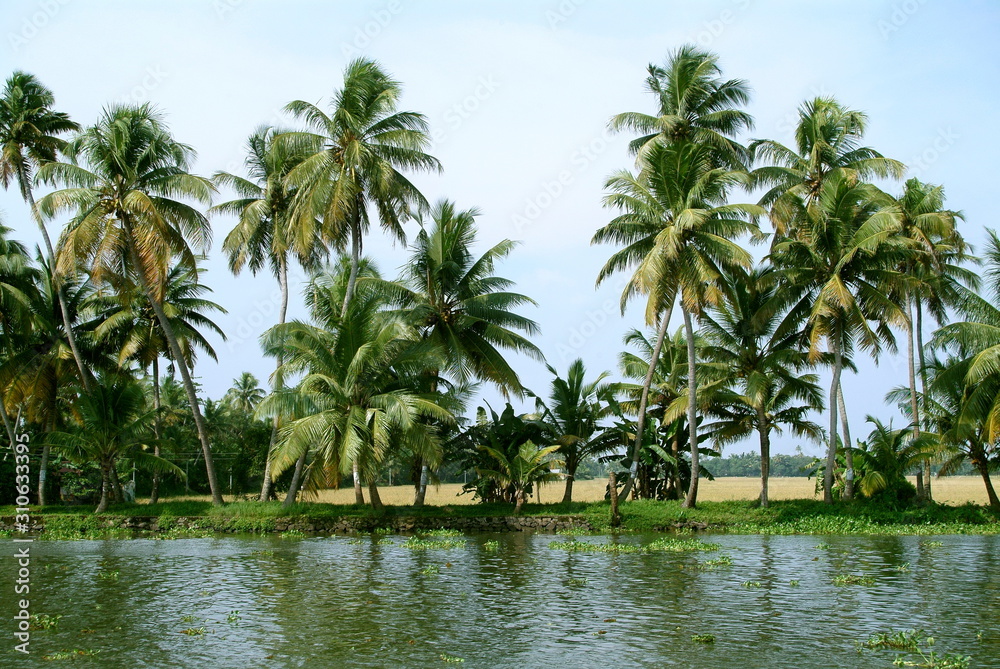Backwaters of Kerala 