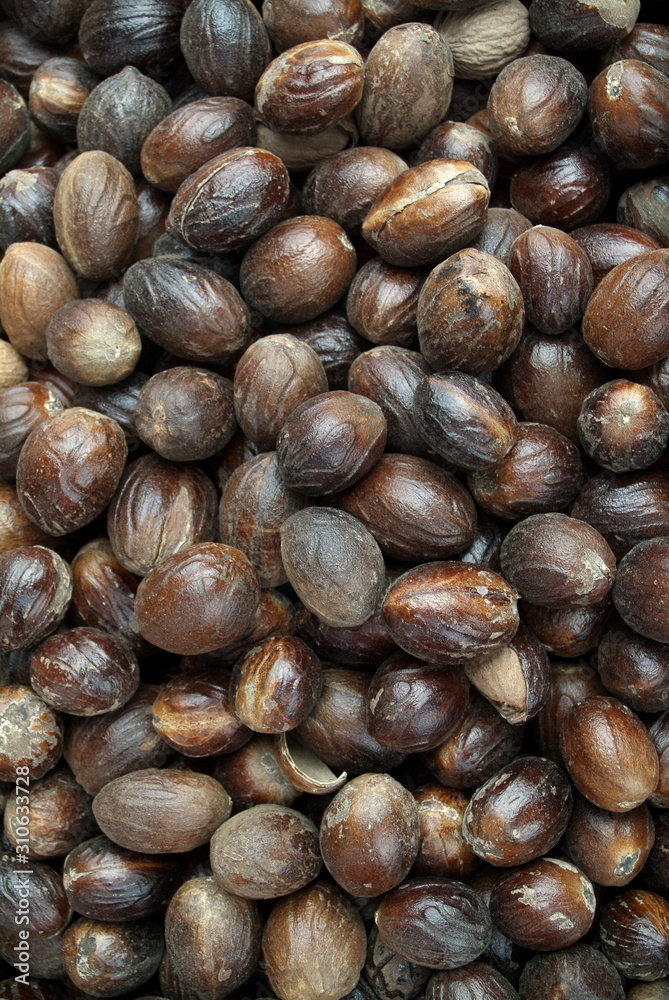 Close-up of plenty of Nutmegs (Jaiphal). Close-up of plenty of Nutmegs (Jaiphal).