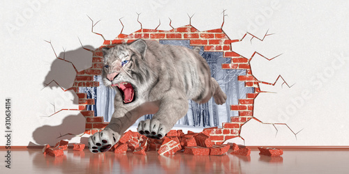 tiger emerging from a fault in the wall