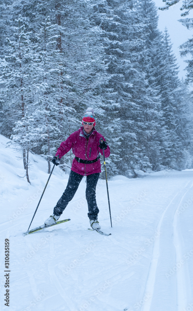 active senior woman on her cross country skis on ski track in the Fischlein Valley, Three peak Dolomites, South Tyrol, Italy