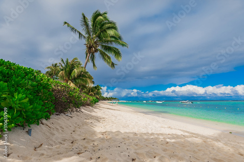 Luxury beach with white sand, palms and ocean. Tropical holiday banner © artifirsov