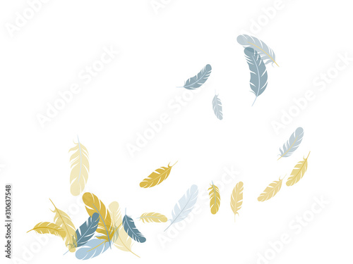 Falling feather elements soft vector design.