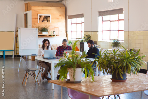 Creative team sitting together  using laptops in modern co-working with potted plant. Business colleagues in casual working together in contemporary office space. Team workplace concept
