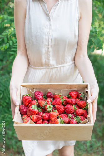 A girl in a white dress holding a wooden box with a red fresh strawberry in the garden on the nature. Juicy summer berries harvest. Vitamins, sun, healthy berry food. Fine art toning vertikal.