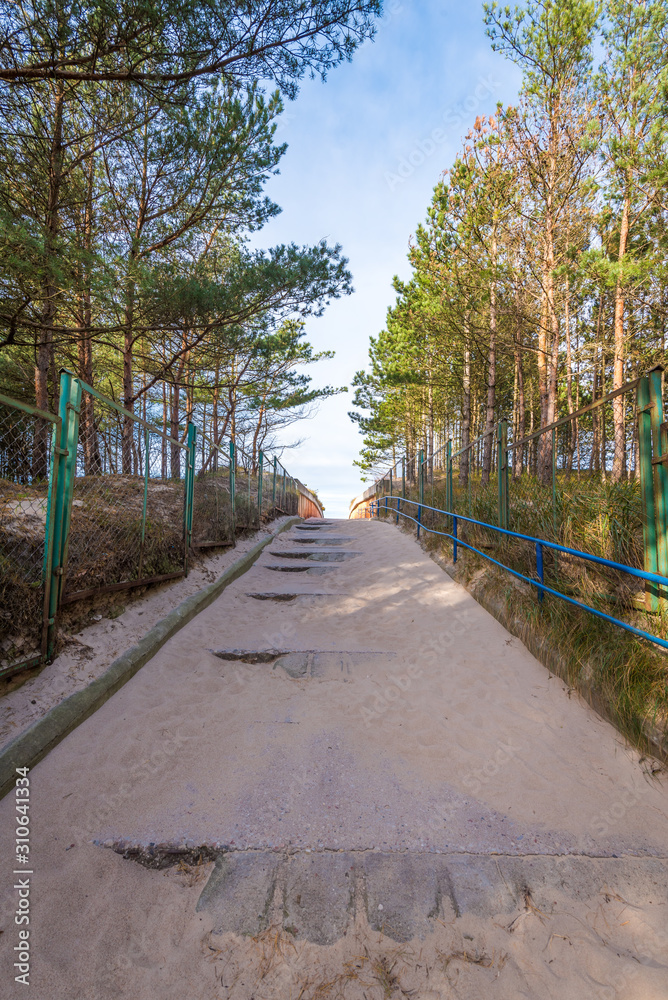 Forest entrance to the beach. Baltic Sea. Poland