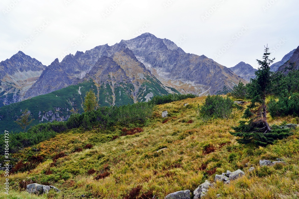 Fototapeta premium Tatry