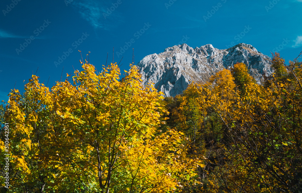 Mountain landscape in autumn with bright colors and huge stones