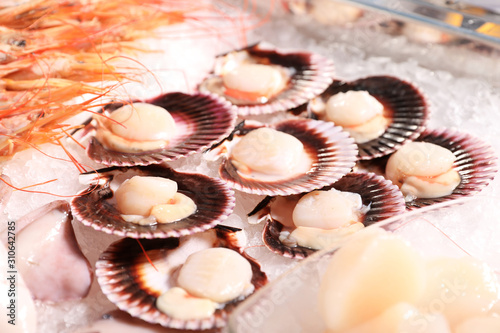 Fresh scallops on display with ice. Wholesale market
