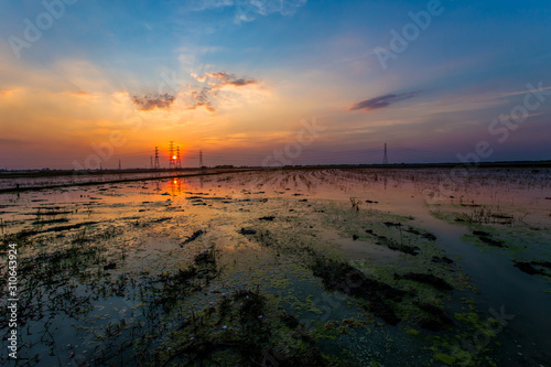 Thailand  Sky  Sunset  Agricultural Field  Sunrise - Dawn