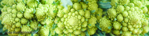 Fresh green cauliflower romanesco closeup photo