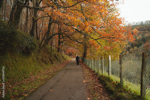 Retired man walking on a path during autumn