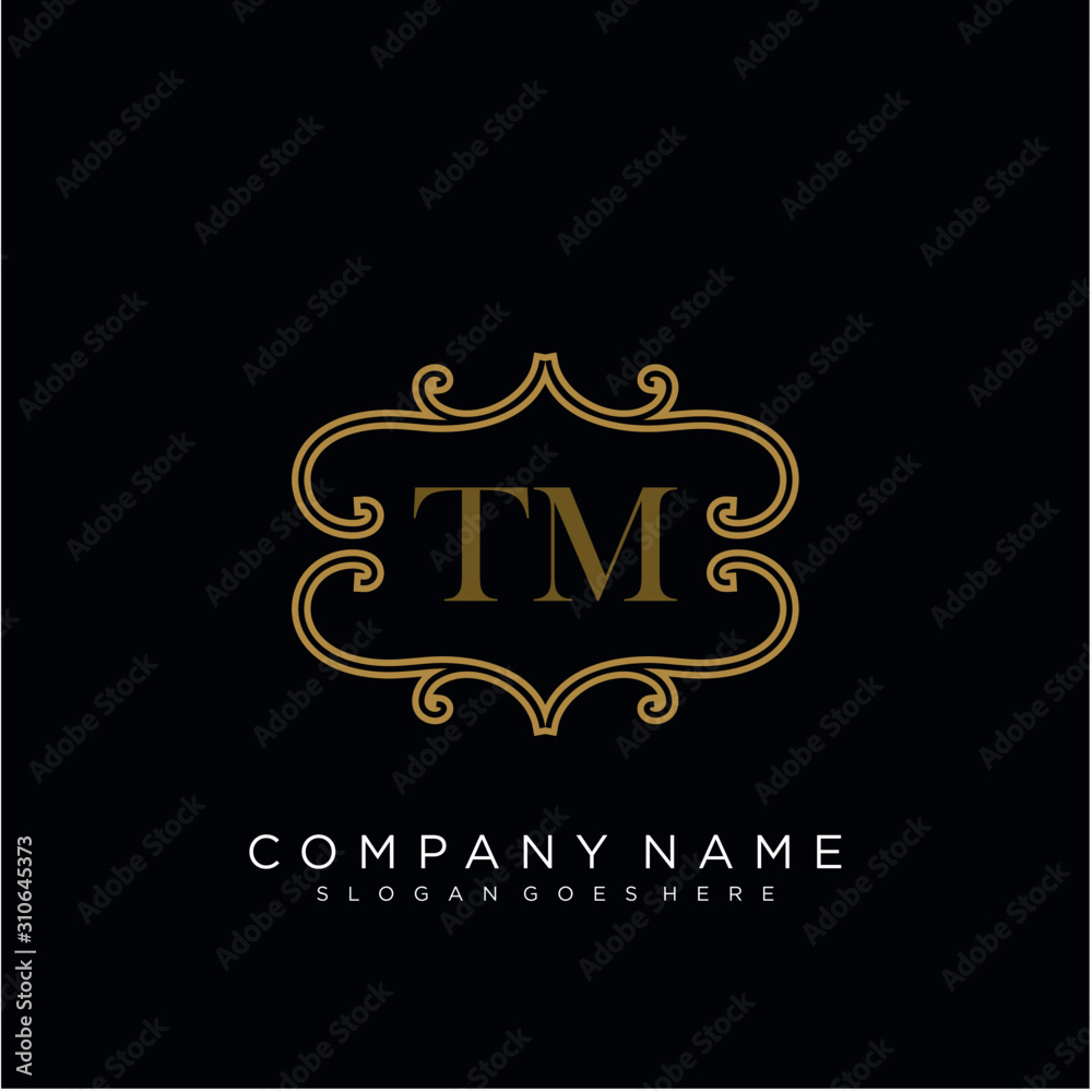 Initial letter TM logo luxury vector mark, gold color elegant classical