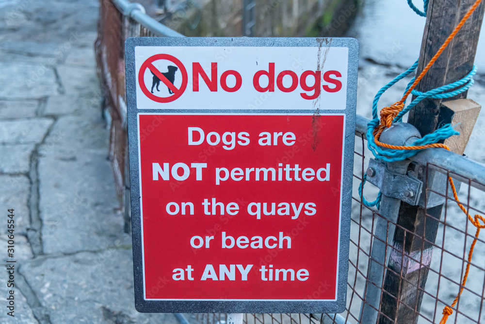 Obraz premium No dogs permitted on the quay or beach sign
